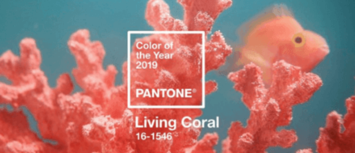 kolor-roku-2019-civing-coral