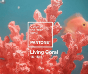 kolor-roku-2019-civing-coral